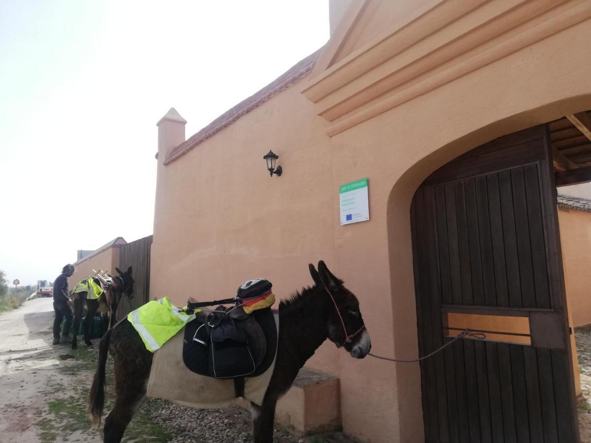 Albergue turístico La Almazara Villafranca de los Barros Exterior foto