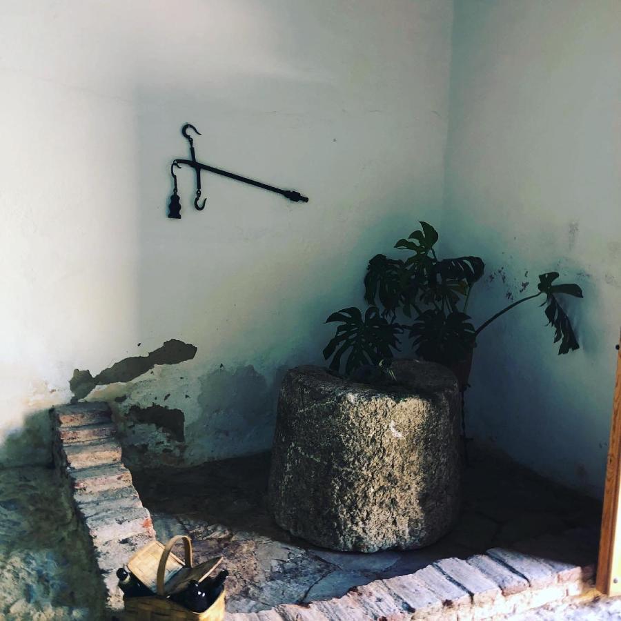 Albergue turístico La Almazara Villafranca de los Barros Exterior foto